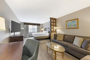 Best Western Plus Vineyard Inn & Suites