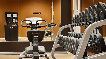 Hilton Garden Inn Houston/Galleria Area