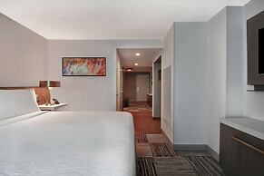 Hilton Garden Inn Houston/Galleria Area