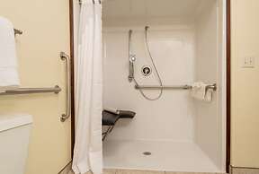 Holiday Inn Express & Suites Alamosa by IHG