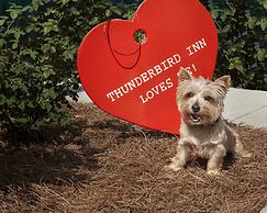 Thunderbird Inn