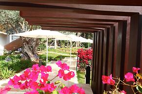 Pure Salt Garonda - Adults Only