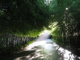 The Pavilions Phuket