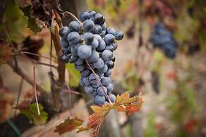 Borgo Scopeto Wine & Country Relais