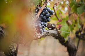 Borgo Scopeto Wine & Country Relais