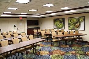 Holiday Inn Express Hotel & Suites Cape Girardeau I-55 by IHG
