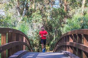 Hotel Flamingo Resort