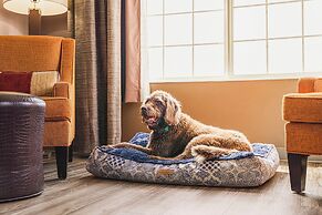 The Ashley Inn & Suites