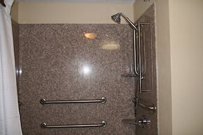 Holiday Inn Express and Suites Greenville by IHG