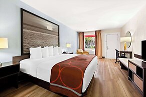 Super 8 by Wyndham Florida City/Gateway to Keys/Everglades