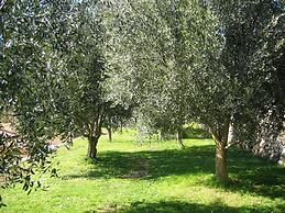 Mas de Vence Hotel & Restaurant