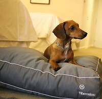 Sheraton Salta Hotel