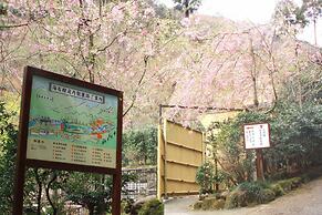 Tsubaki