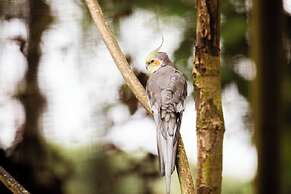 Veluwe Hotel de Beyaerd