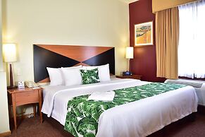 Sleep Inn Hotel Paseo Las Damas