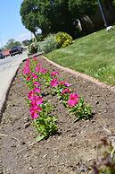 Retro Inn at Mesa Verde