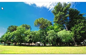 Villa Raffaello Park Hotel
