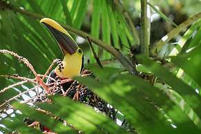 Montaña de fuego Mountain Resort & Spa