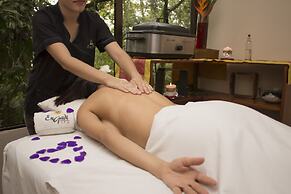 Montaña de fuego Mountain Resort & Spa