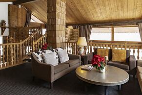 Odalys Hotel New Solarium