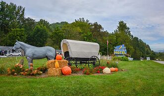 Carolina Motel