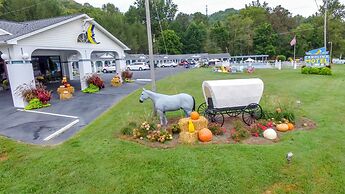 Carolina Motel