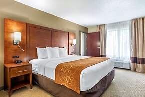 Comfort Suites Grand Rapids North