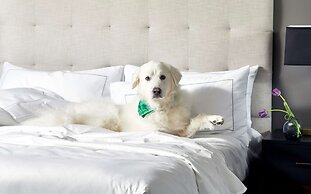 Cumberland House Knoxville, Tapestry Collection by Hilton