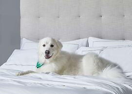 Cumberland House Knoxville, Tapestry Collection by Hilton