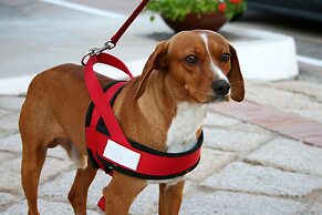 Hotel Luci di La Muntagna