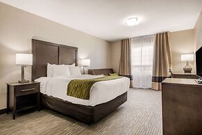 Comfort Inn & Suites Red Deer