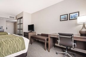 Comfort Inn & Suites Red Deer
