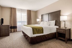 Comfort Inn & Suites Red Deer