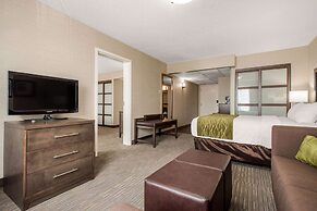 Comfort Inn & Suites Red Deer