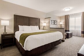 Comfort Inn & Suites Red Deer