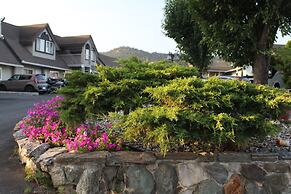 Best Budget Inn and Suites