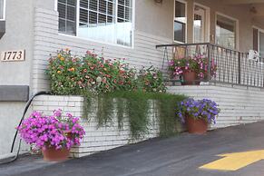 Best Budget Inn and Suites