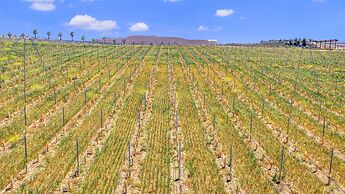 Hampton Inn And Suites Hemet