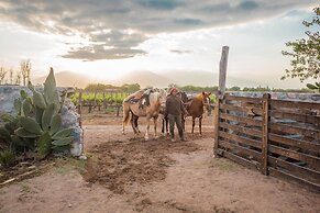 Patios de Cafayate - Wine Hotel & Restaurant