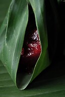 La Résidence Phou Vao