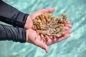 Sheraton Maldives Full Moon Resort & Spa