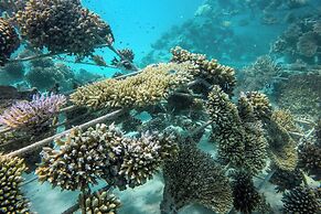 Sheraton Maldives Full Moon Resort & Spa