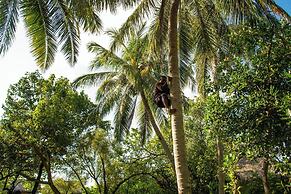 Sheraton Maldives Full Moon Resort & Spa