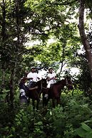 Naya Gawana Resort & Spa