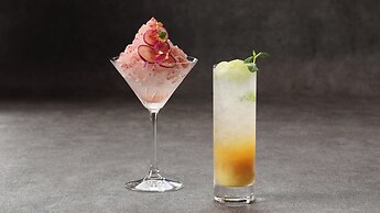 ANA Crowne Plaza Okayama by IHG