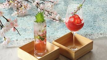 ANA Crowne Plaza Okayama by IHG