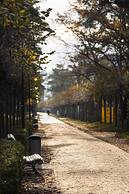 IFA Rügen Hotel & Ferienpark