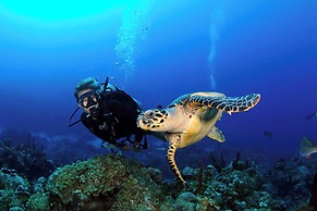 Columbia Beach Resort