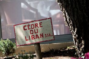 Le Cèdre de Soyons