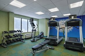 SpringHill Suites by Marriott St. Petersburg Clearwater